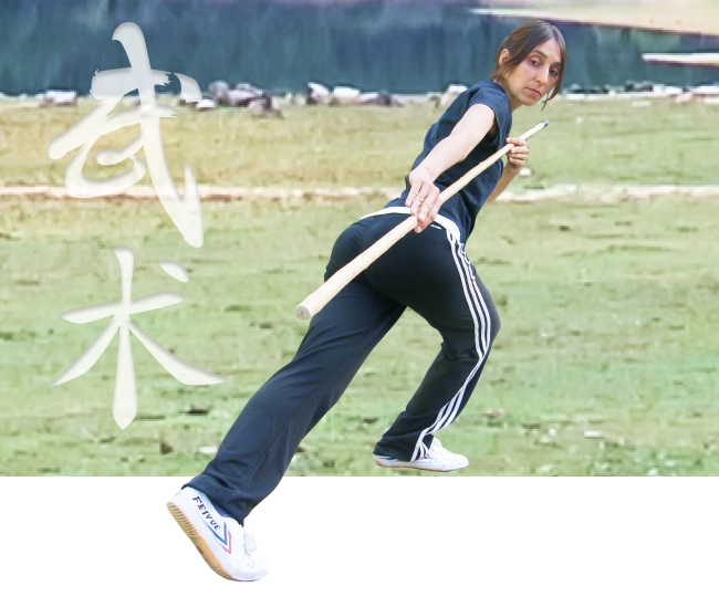 Taiji Quan