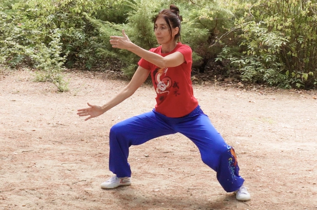 Taiji Quan
